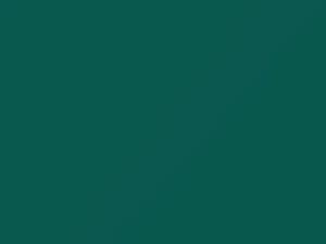 Fiat All Models Ocean Green 1975 391