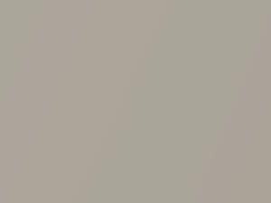 Oldsmobile All Models Silver Beige Metallic 1968 3816, W, WA3816 - Scratch Repair