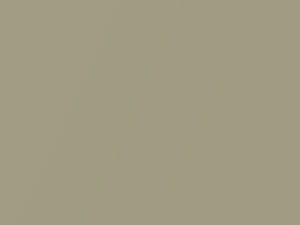 Buick All Models Platinum Mist Metallic 1967 3590, P, WA3590 - Scratch Repair