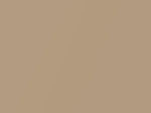 Dodge All Models Mojave Tan Metallic 1972 AY2HT6, T6