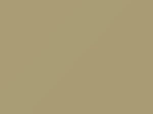 Chevrolet All Models Desert Sand 1974 4369, 528, WA4369 - Scratch Repair