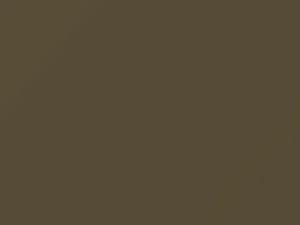 Oldsmobile All Models Covert Beige 1969 3957, 82, WA3957 - Scratch Repair