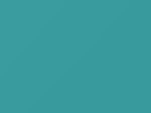 Fiat All Models Tropical Turquoise 1972 463