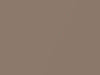 AMC All Models Medium Brown Metallic 1981 OL