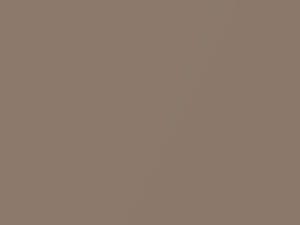 AMC All Models Medium Brown Metallic 1980 OL