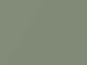 Jeep All Models Olive Mist Metallic 1966 386