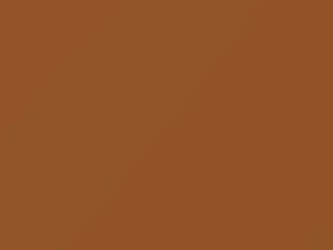 Toyota 1000 Cinnamon 1990 4C9