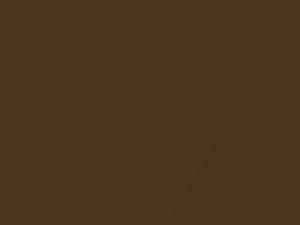 Datsun All Models Dark Brown Metallic 1973 122