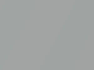 Fiat All Models Silver Metallic 1975 620