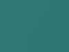 AMC All Models Tahiti Turquoise Metallic 1968 P48A