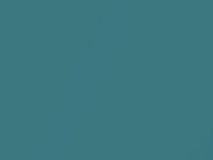 Chevrolet All Models Turquoise Metallic 1969 511, 5162, WA5162
