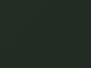 Austin Rover All Models Almond Green 1963 GN37 - Scratch Repair