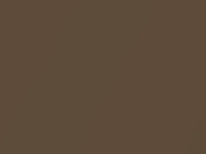 Isuzu All Models Dark Brown Metallic 1983 2153P1, 809
