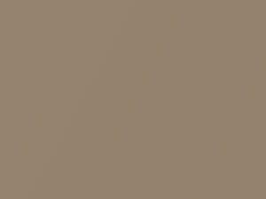 Daihatsu All Models Beige Metallic 1983 T03