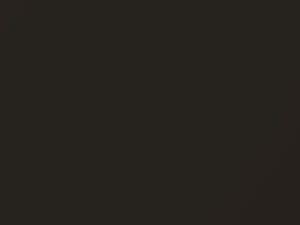 Dodge All Models Black S/F 1977 AY70PX8, DT4009, X8 - Scratch Repair