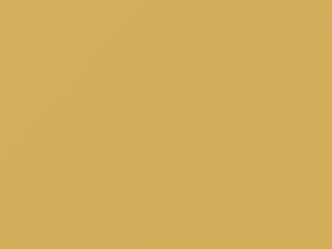 Subaru All Models Cream Yellow 1982 259