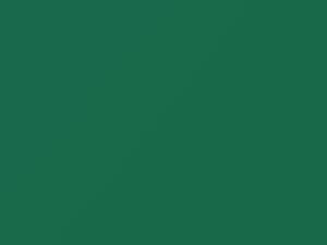 Chevrolet All Models Neptune Green 1961 703