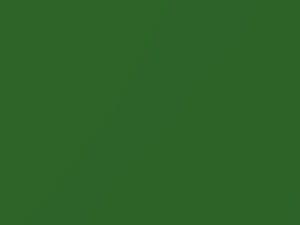 Honda All Models Freesia Green Metallic 1980 GY8M