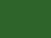 Honda All Models Freesia Green Metallic 1980 GY8M