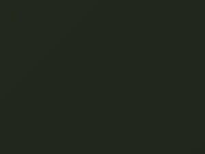 Nissan All Models Dark Green 1996 472
