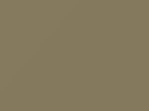 Fiat All Models Sand Beige 1968 583
