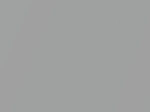 Chrysler All Models Alpine Silver Metallic 1974 30