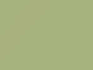 Buick All Models Pastel Green 1979 40, 8028, WA8028