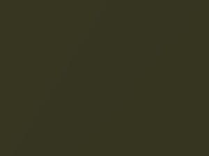 Ford All Models Dark Yellow Green Metallic 1977 4V, M5233, M5233A, YGQC