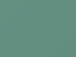 Ford All Models Light Spruce 1982 74, M5807A