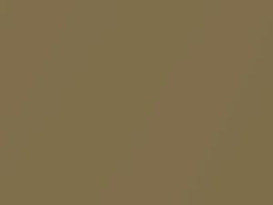 AMC All Models Mystic Gold Metallic 1965 P4A