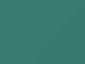 Studebaker All Models Hawaiian Green 1959 P5953