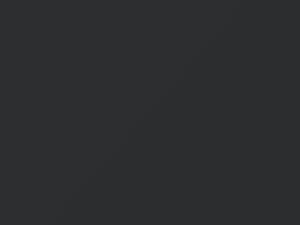 Austin Rover All Models Grampian Gray 1964 GR12 - Scratch Repair