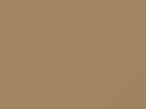 Chrysler All Models Sierra Sand 1968 AAY1L1, R