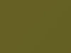 AMC All Models Green Apple 1975 H5