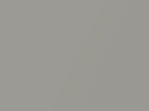 Toyota All Models Satellite Pearl Metallic 1970 1388