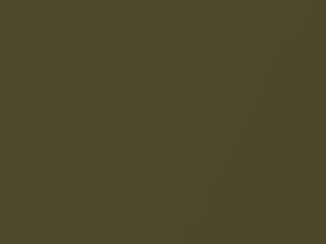Pontiac All Models Vedoro Green Metallic #2 1969 3771, 73, WA3771