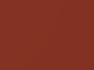 BMW All Models Chestnut Red Metallic 1982 157
