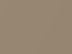 Audi All Models Gobi Beige Metallic 1983 LY1V