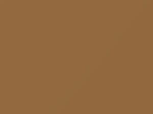 Nissan All Models Tropic Tan 1986 130 - Scratch Repair