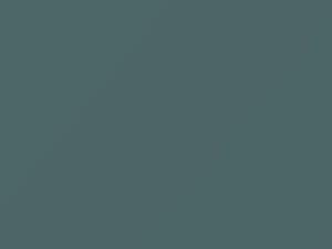 Austin Rover All Models Smoke Gray 1962 BU15 - Scratch Repair