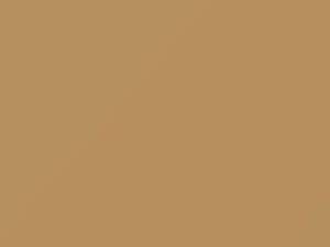 AMC All Models Morocco Buff 1979 9N - Scratch Repair