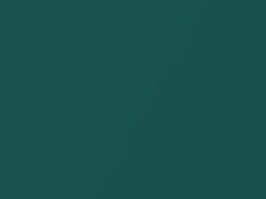 Chevrolet All Models Dark Green Metallic 1970 512, 5183, WA5183