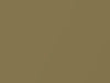 Ford All Models Sauterne Gold Metallic 1966 M1915A, Z