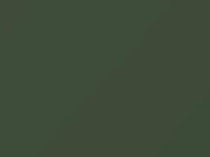 Jaguar All Models Willow Green 1971 1688, 404