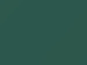 Cadillac All Models Dunbarton Green 1976 32, 4747, WA4747 - Scratch Repair