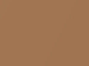 Volvo All Models Nougat Tan Metallic 1981 144