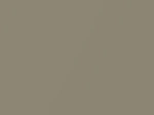Toyota All Models Aspen Glow Gold Metallic 1970 1567