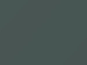 Toyota All Models Athene Gray 1971 1620