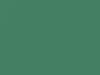 AMC All Models Gem Green 1964 P6253