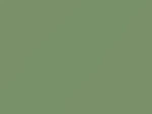 Volkswagen All Models Birch Green 1963 L511